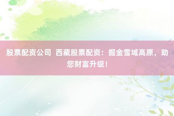 股票配资公司  西藏股票配资：掘金雪域高原，助您财富升级！