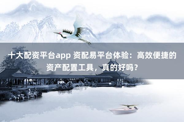 十大配资平台app 资配易平台体验：高效便捷的资产配置工具，真的好吗？