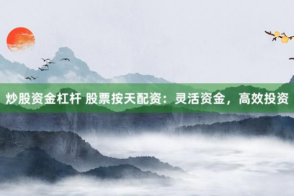 炒股资金杠杆 股票按天配资：灵活资金，高效投资